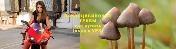 марки lsd Алексеевка